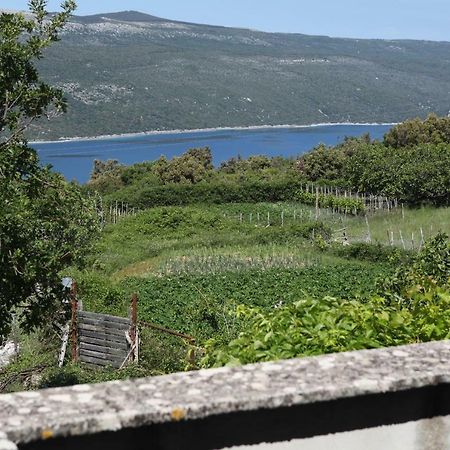 Vrana  Accommodation Lily מראה חיצוני תמונה